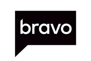 BRAVO Logo 1